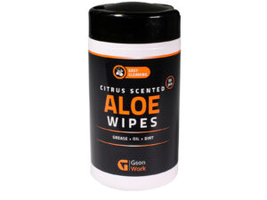 Gson aaloega niisked lapid