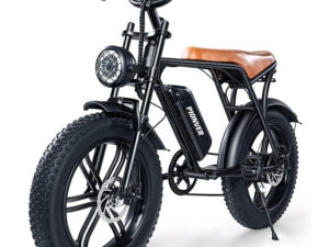 500W mootoriga elektrijalgratas, 48V 15Ah eemaldatava akuga,  Shimano 7-käigulise süsteemiga